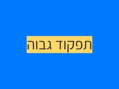 אוטיזם בתפקוד גבוה אוטיזם בתפקוד גבוה
