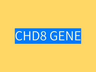 הגן CHD8 ואוטיזם