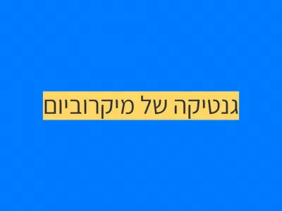 ה-DNA של המיקרוביום ה-DNA של המיקרוביום