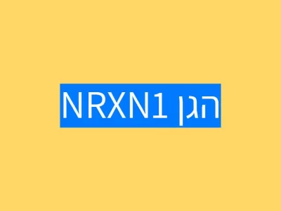אוטיזם ופגיעה בגן NRXN1 אוטיזם ופגיעה בגן NRXN1