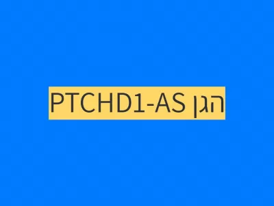 הגן PTCHD1-AS והקשר לאוטיזם הגן PTCHD1-AS והקשר לאוטיזם